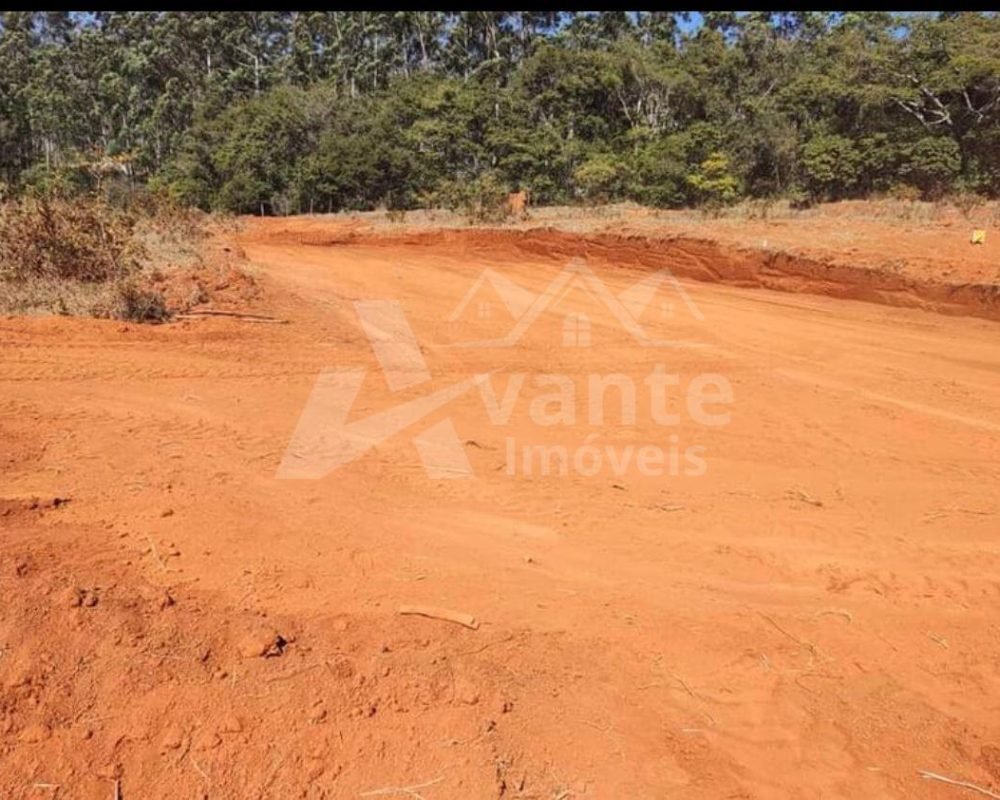 Avante Imóveis ajudando você a realizar seu sonho