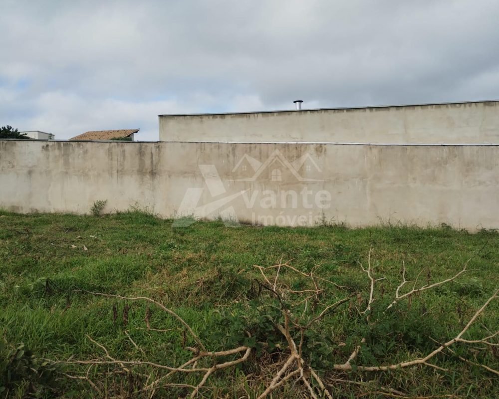 Avante Imóveis ajudando você a realizar o sonho da casa própria