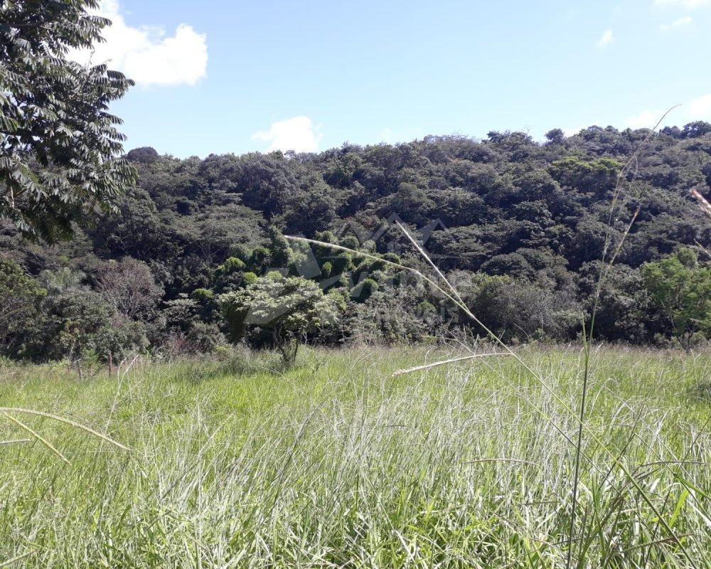 Avante Imóveis você a realizar o sonho da casa própria