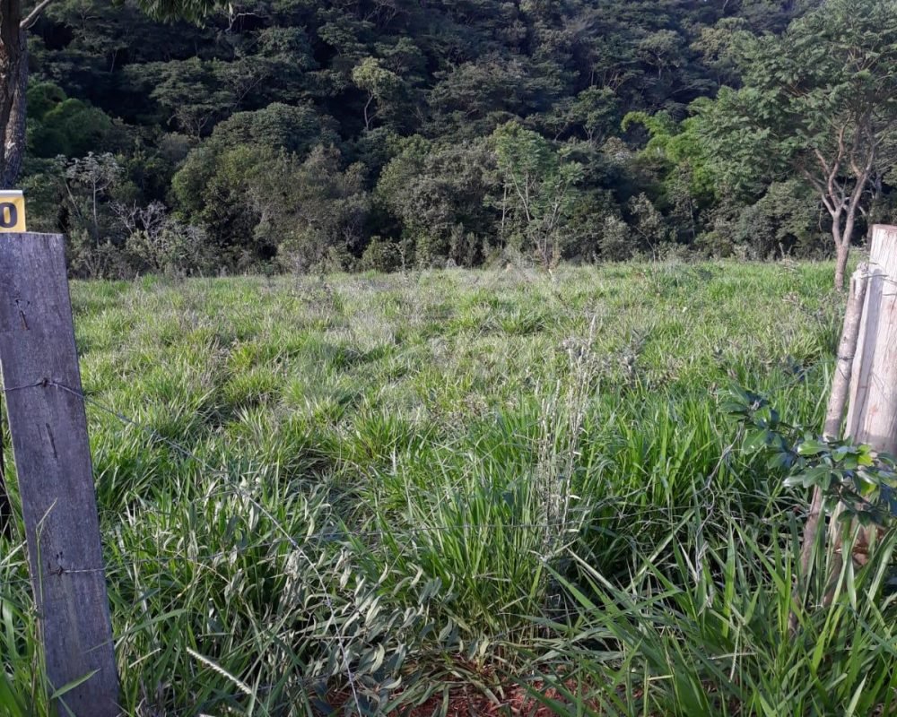 Avante Imóveis você a realizar o sonho da casa própria