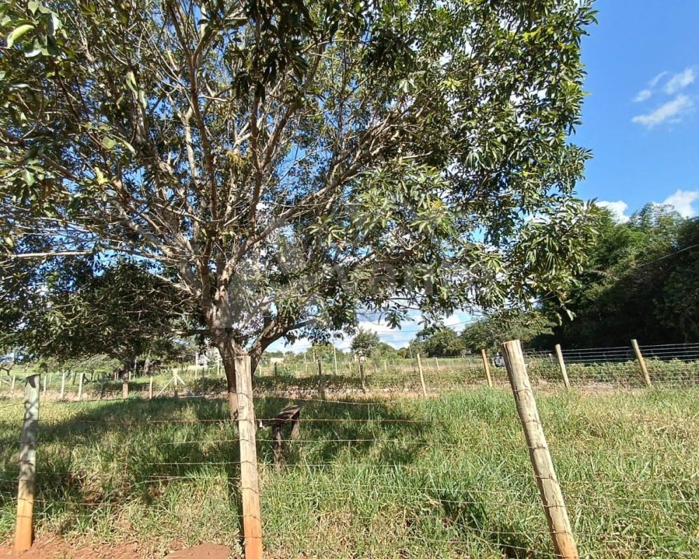 Avante Imóveis ajudando você a realizar o sonho da casa própria