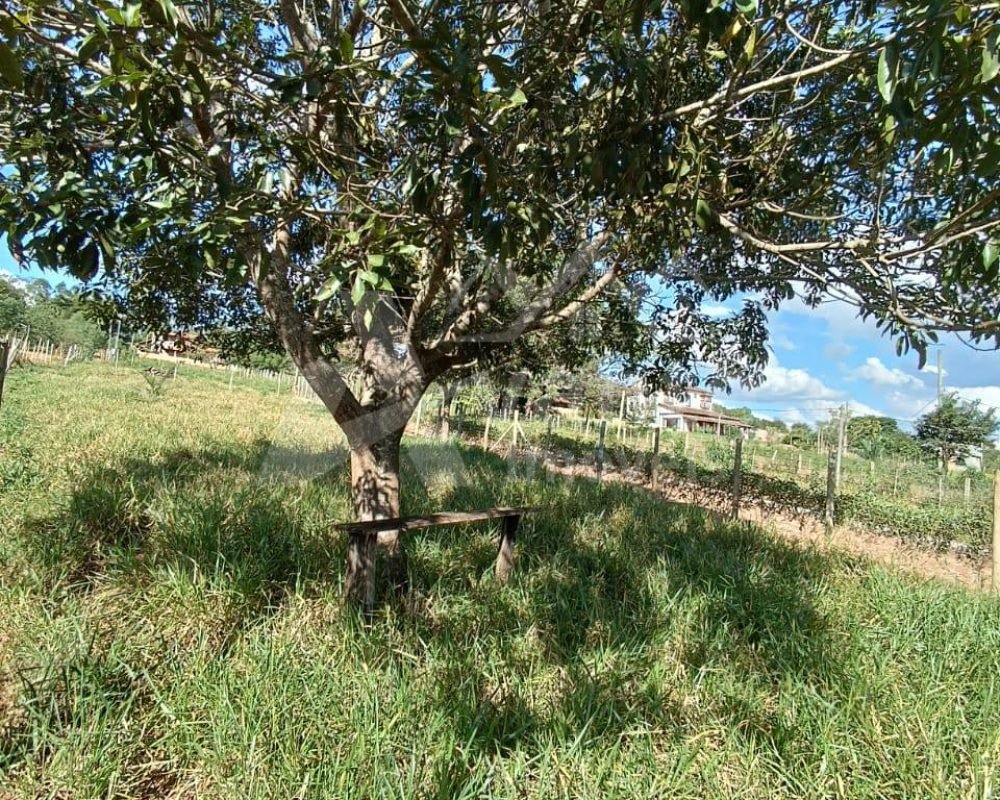 Avante Imóveis ajudando você a realizar o sonho da casa própria