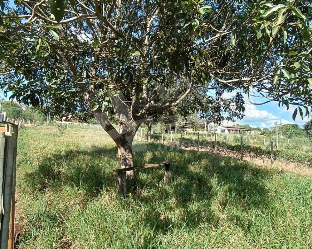 Avante Imóveis ajudando você a realizar o sonho da casa própria