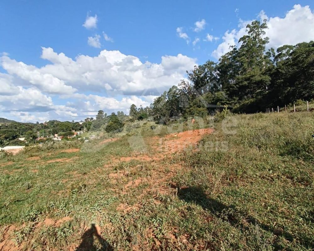 Avante Imóveis ajudando você a realizar o sonho da casa própria