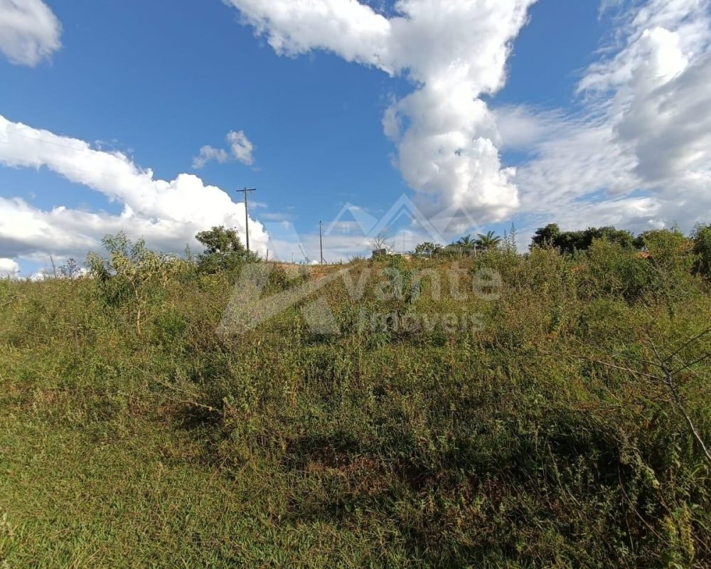 Avante Imóveis ajudando você a realizar o sonho da casa própria