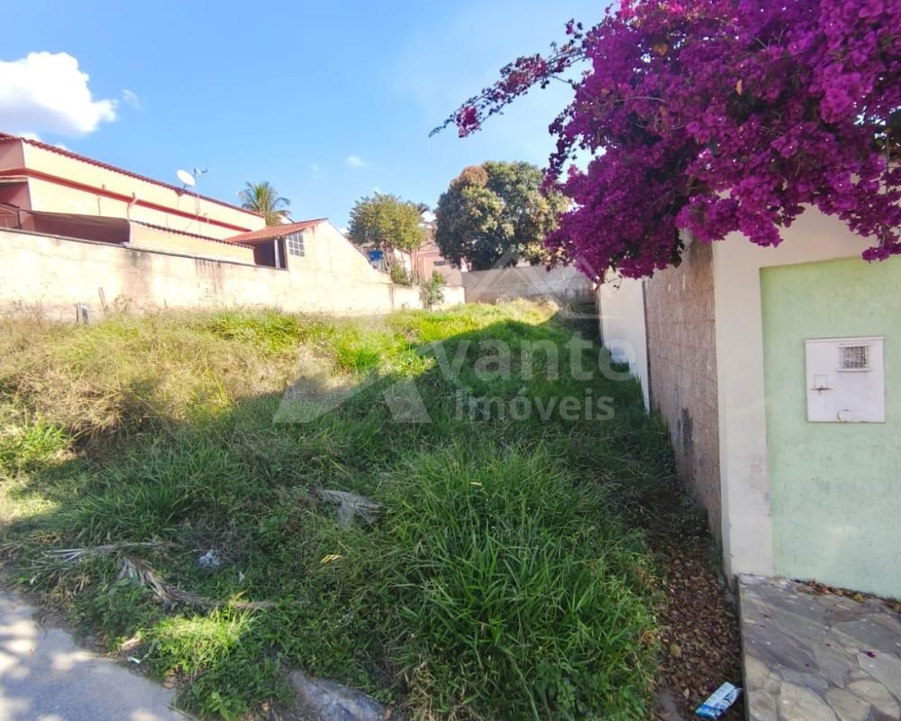 Avante Imóveis ajudando você a realizar o sonho da casa própria