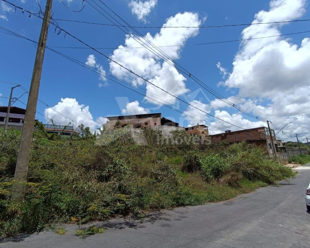 Avante Imóveis ajudando você a realizar seu sonho