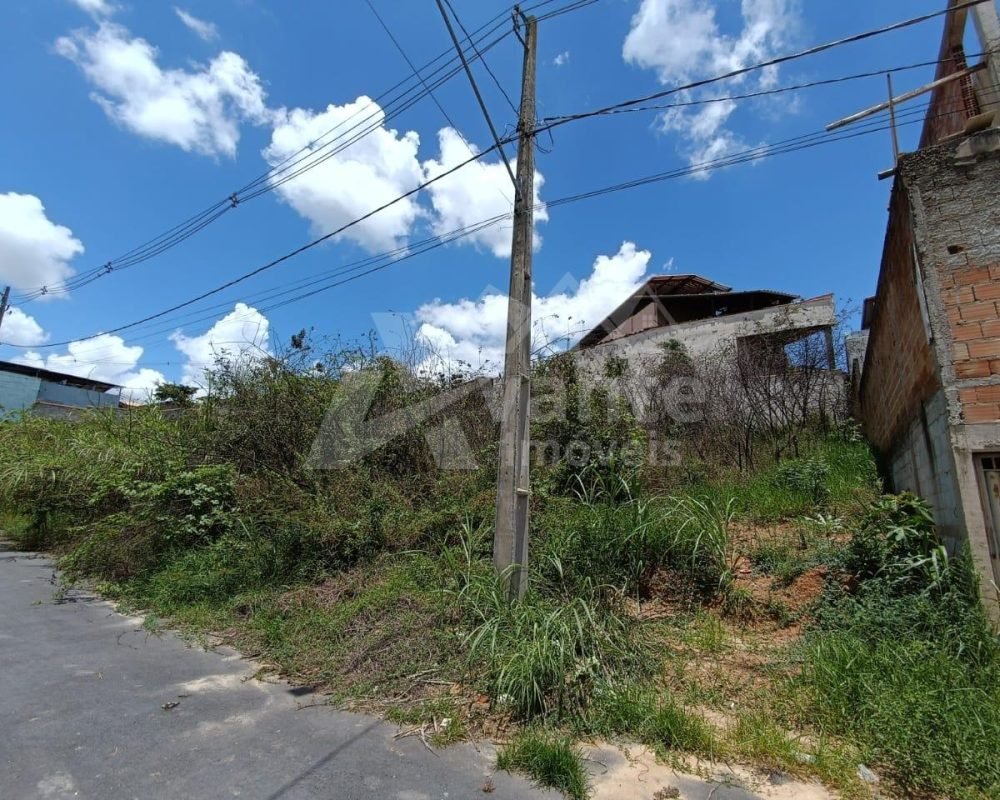 Avante Imóveis ajudando você a realizar seu sonho