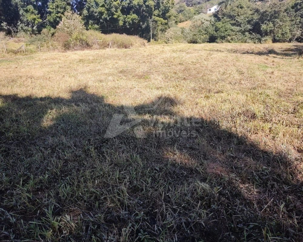 Avante Imóveis ajudando você a realizar o sonho da casa própria