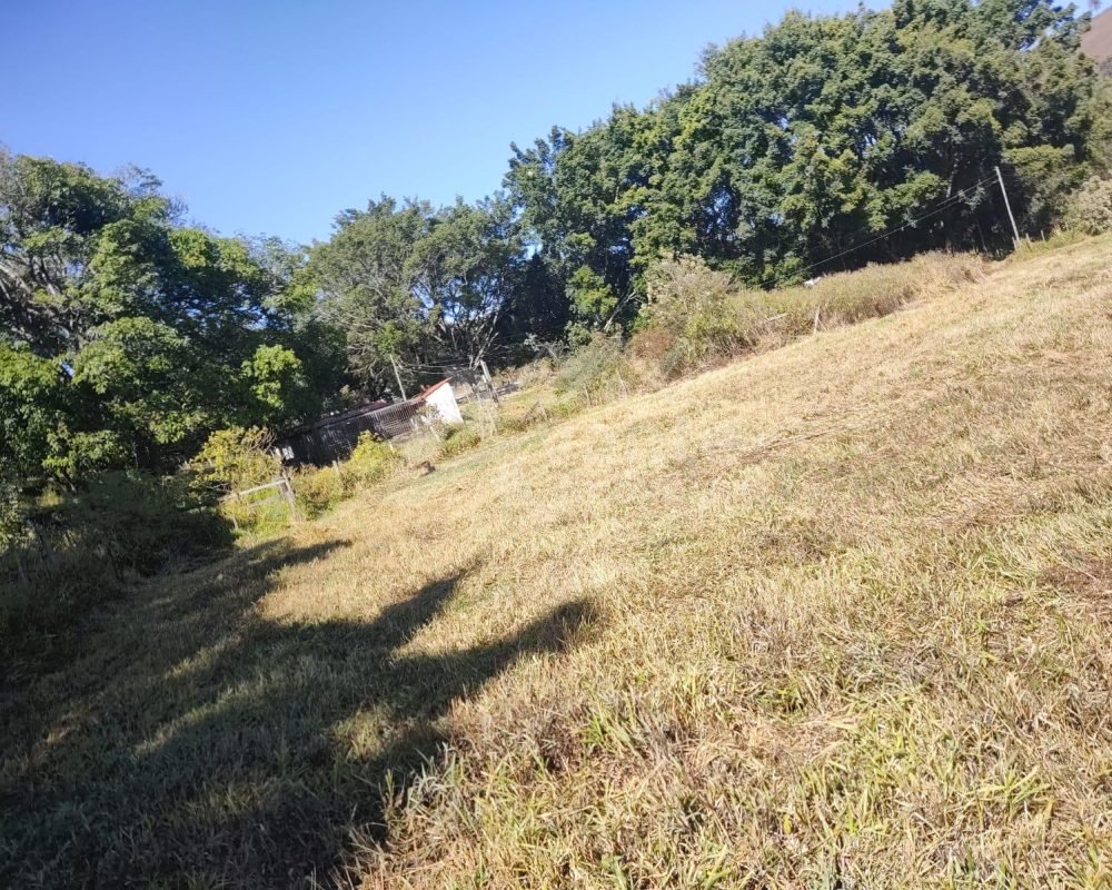 Avante Imóveis ajudando você a realizar o sonho da casa própria