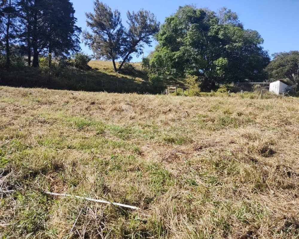 Avante Imóveis ajudando você a realizar o sonho da casa própria