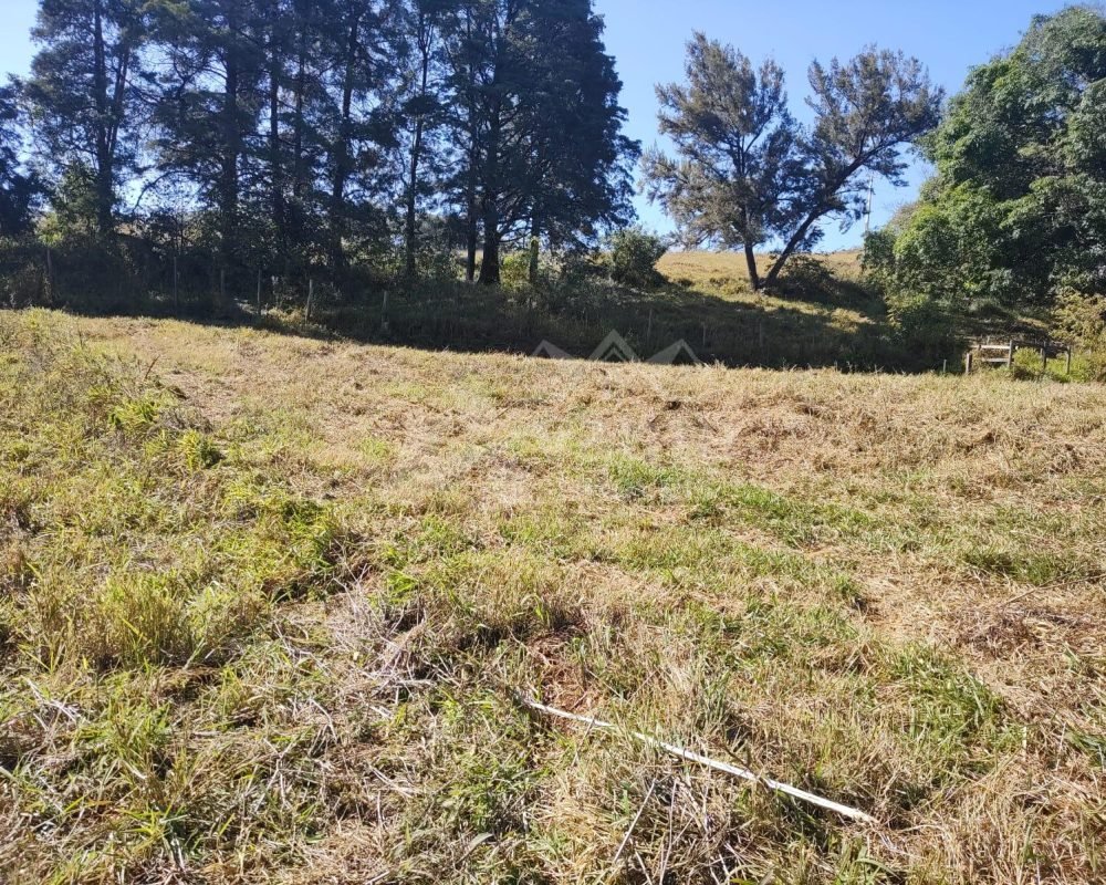 Avante Imóveis ajudando você a realizar o sonho da casa própria