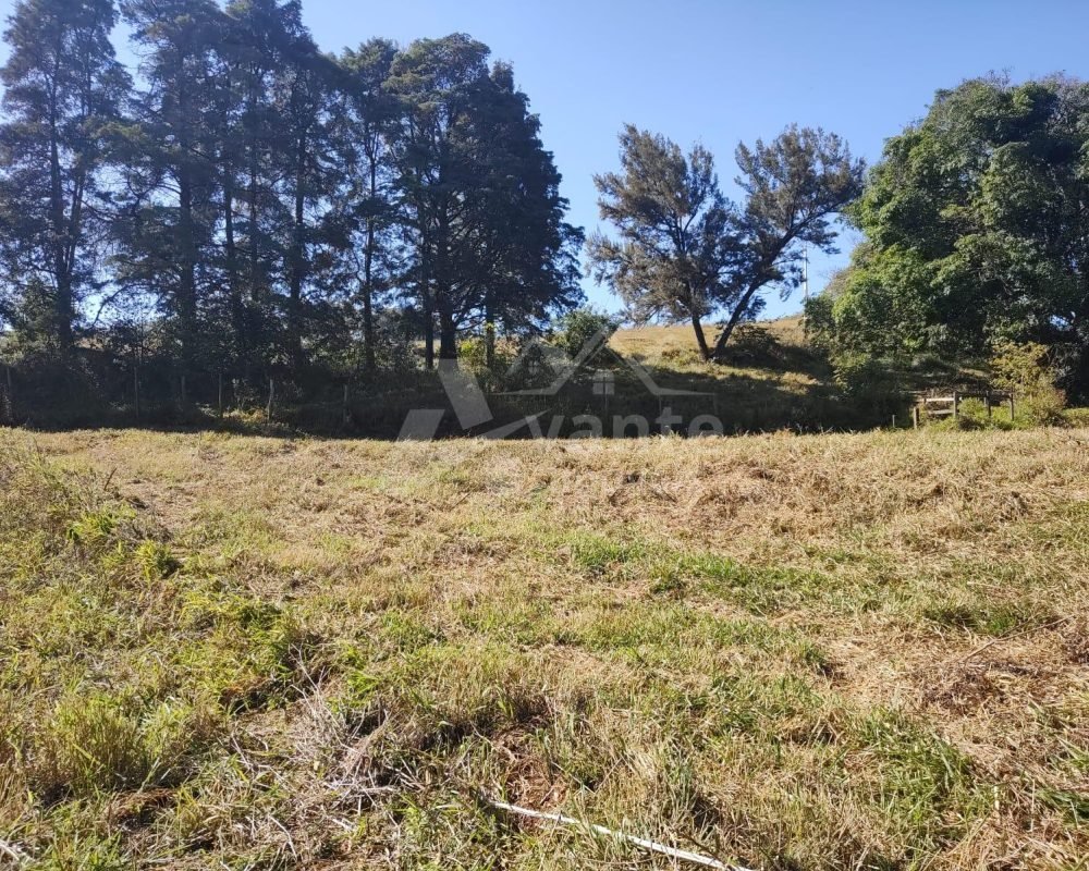 Avante Imóveis ajudando você a realizar o sonho da casa própria