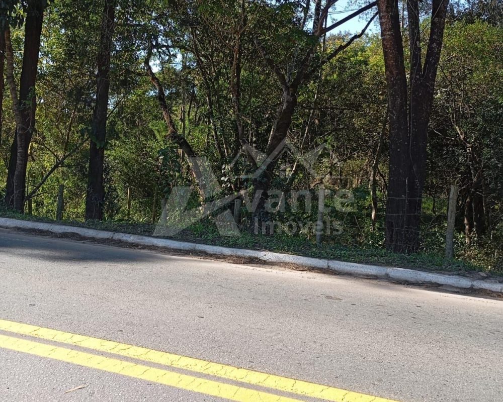 Avante Imóveis ajudando você a realizar o sonho da casa própria