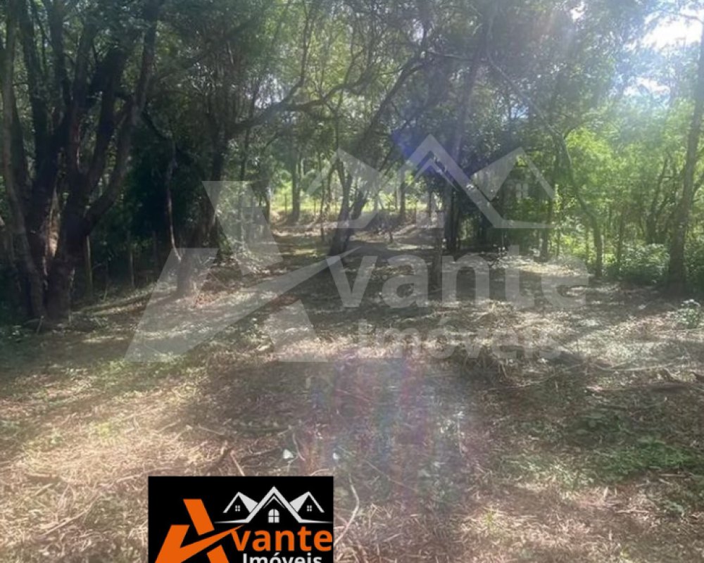 Avante Imóveis ajudando você a realizar o sonho da casa própria