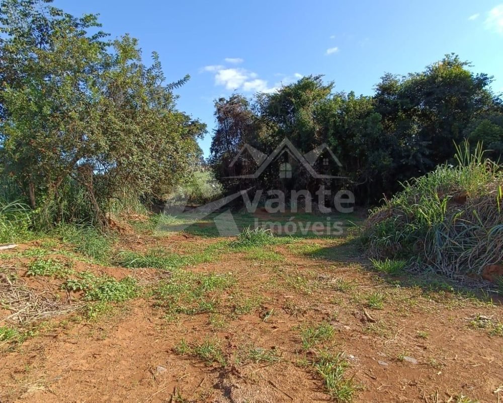 Avante Imóveis ajudando você a realizar o sonho da casa própria