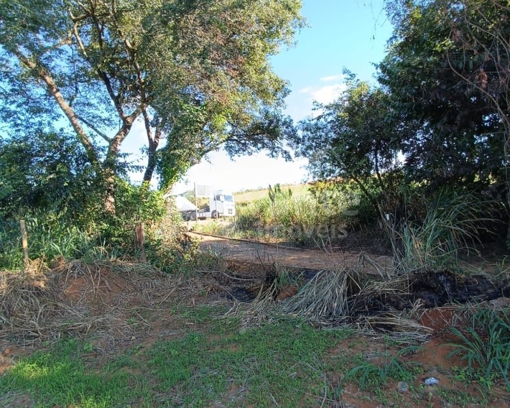 Avante Imóveis ajudando você a realizar o sonho da casa própria