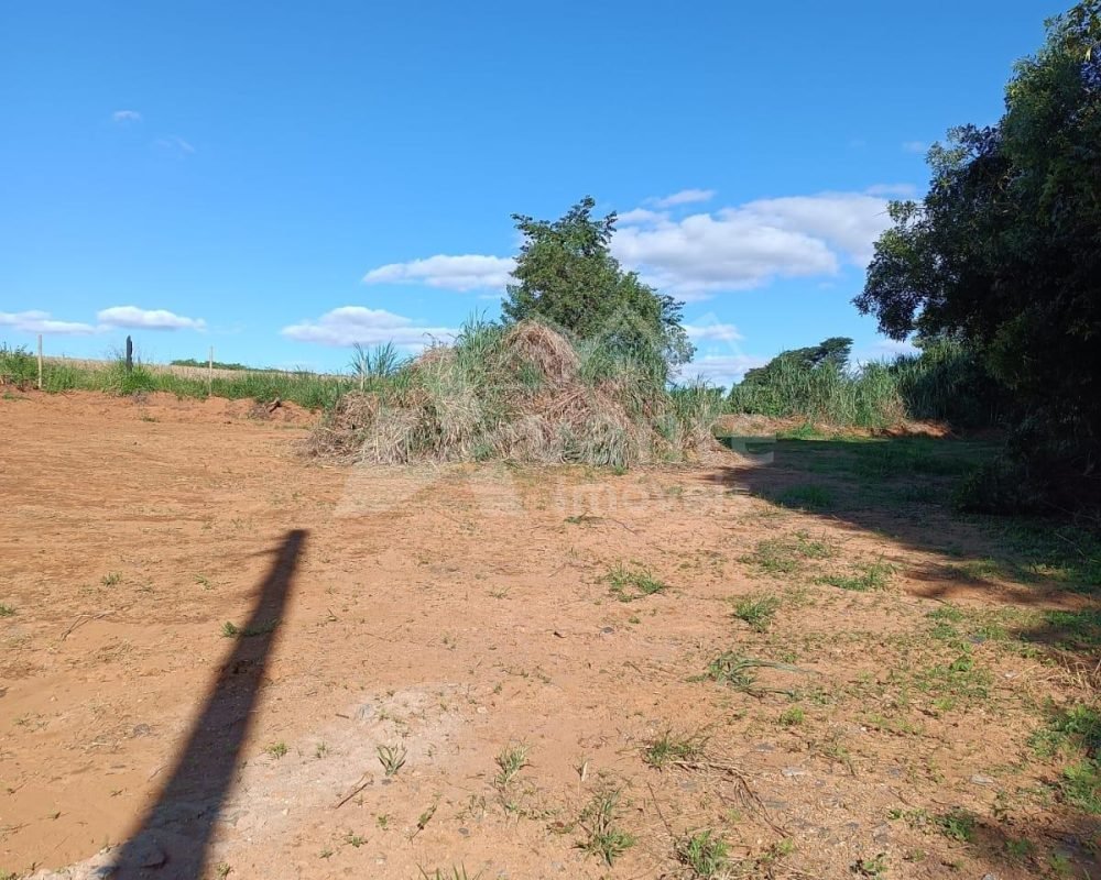 Avante Imóveis ajudando você a realizar o sonho da casa própria