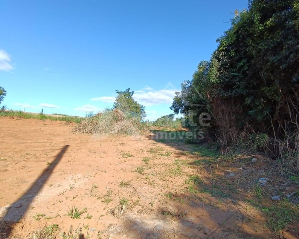 Avante Imóveis ajudando você a realizar o sonho da casa própria