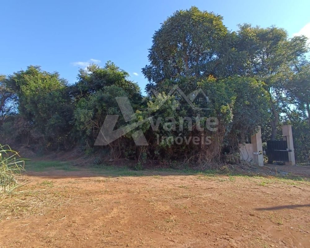 Avante Imóveis ajudando você a realizar o sonho da casa própria