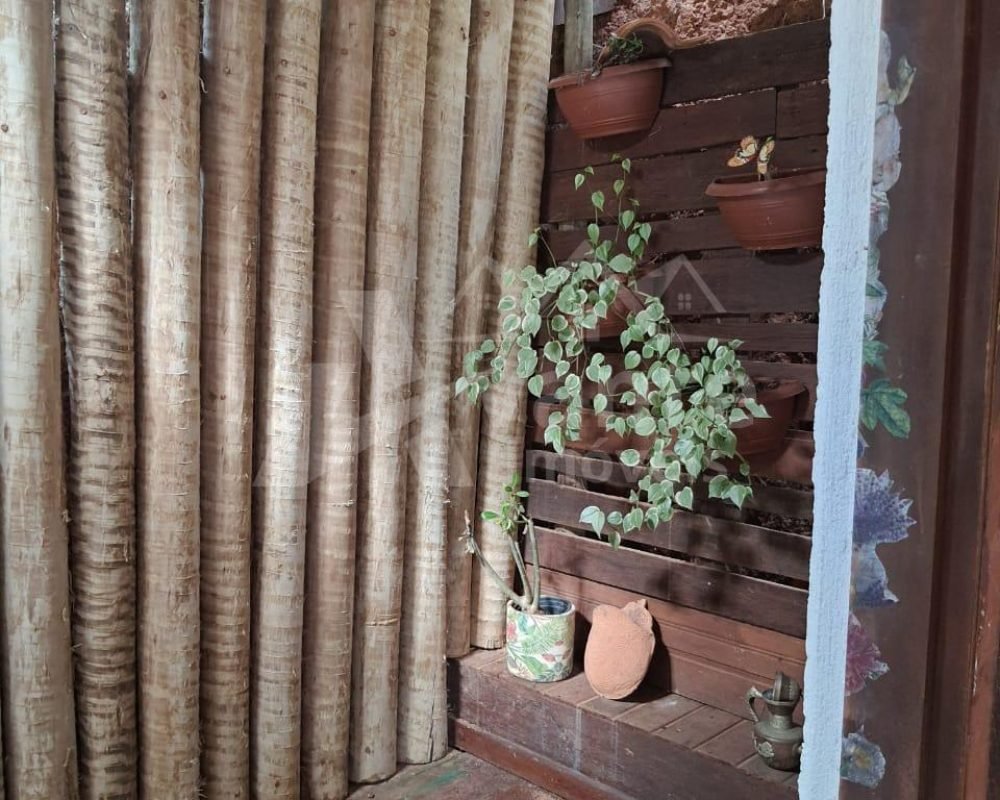 Avante Imóveis ajudando você a realizar seu sonho