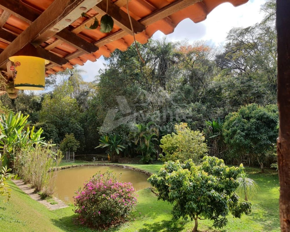 Avante Imóveis ajudando você a realizar seu sonho