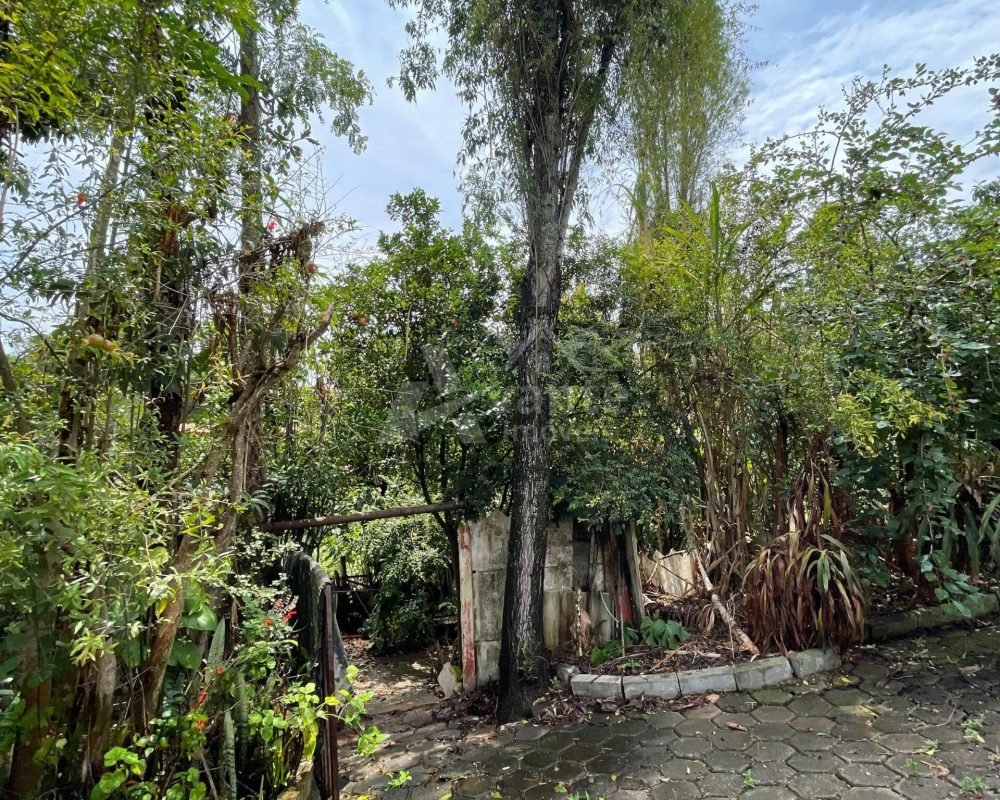 Avante Imóveis ajudando você a realizar o sonho da casa própria