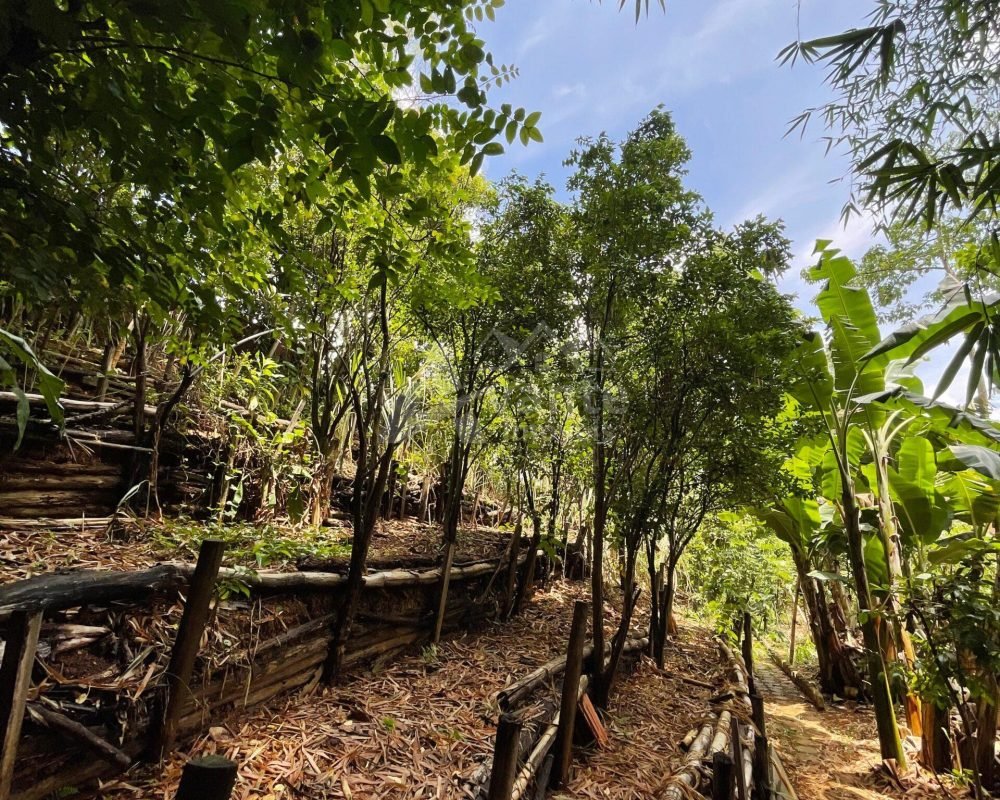 Avante Imóveis ajudando você a realizar o sonho da casa própria