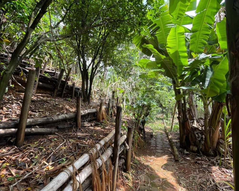 Avante Imóveis ajudando você a realizar o sonho da casa própria