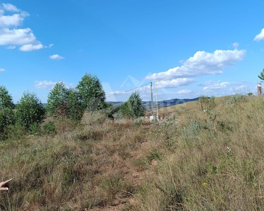 Avante Imóveis ajudando você a realizar seu sonho