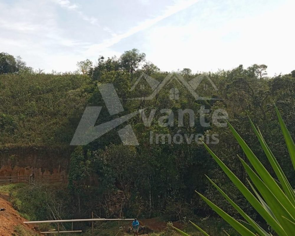 Avante Imóveis ajudando você a realizar o sonho da casa própria