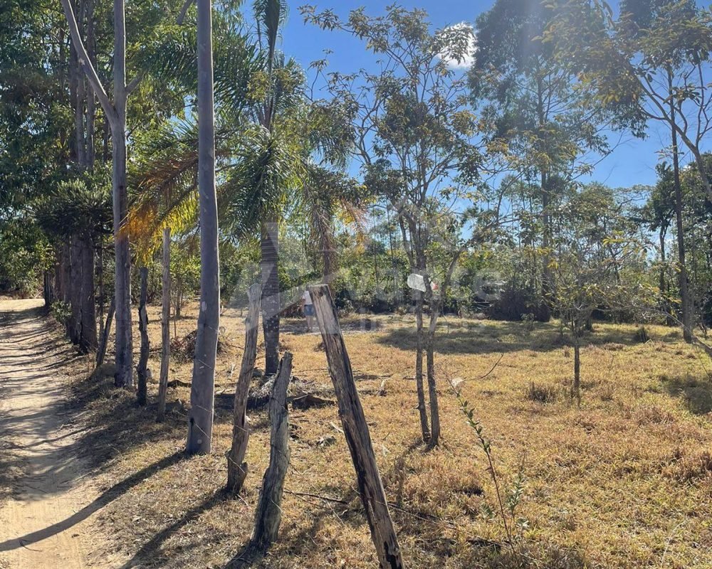 Avante Imóveis ajudando você a realizar o sonho da casa própria