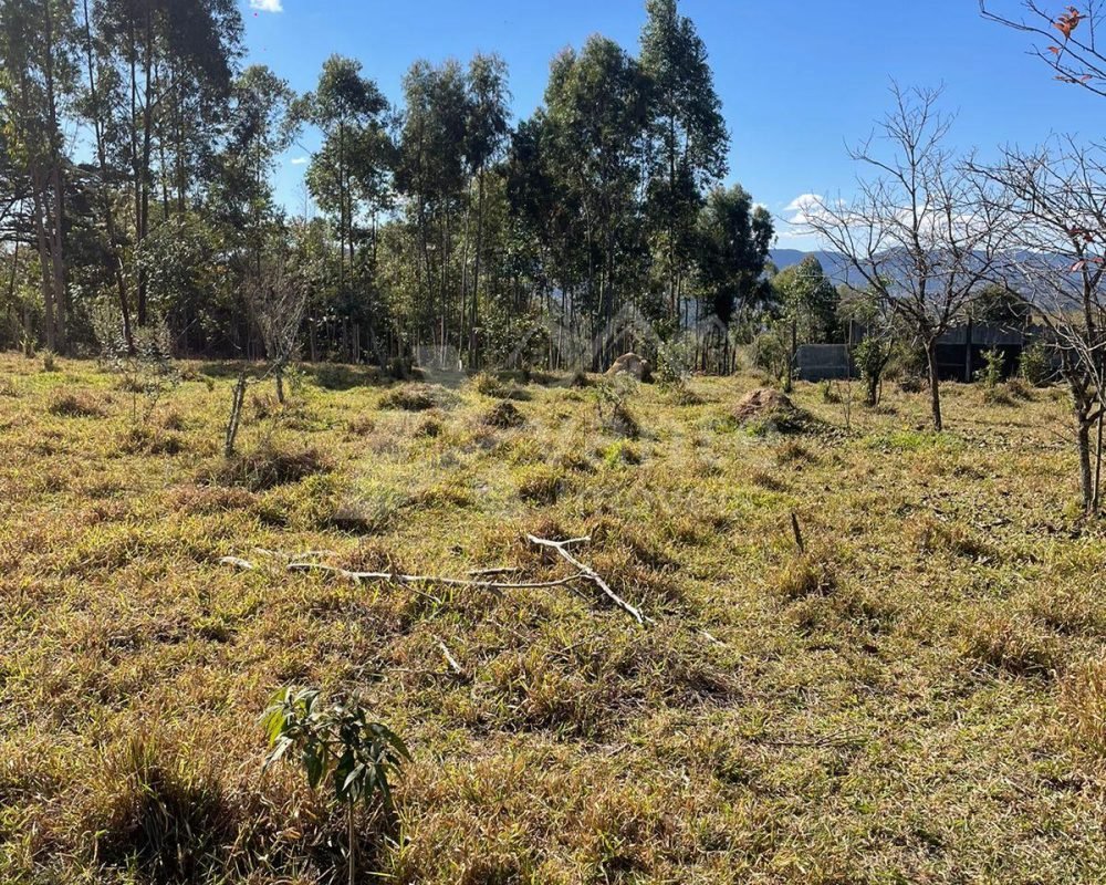 Avante Imóveis ajudando você a realizar o sonho da casa própria