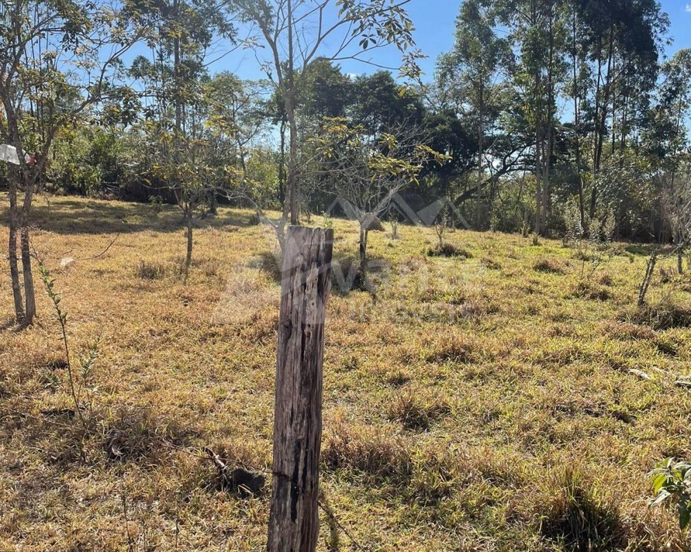 Avante Imóveis ajudando você a realizar o sonho da casa própria