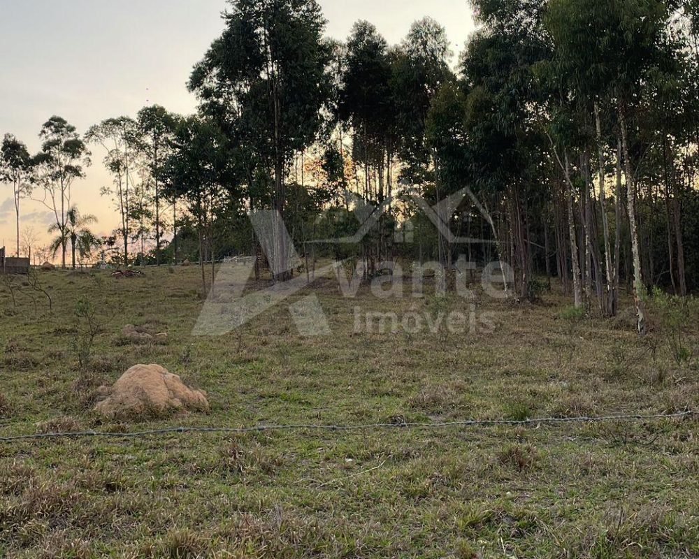 Avante Imóveis ajudando você a realizar o sonho da casa própria