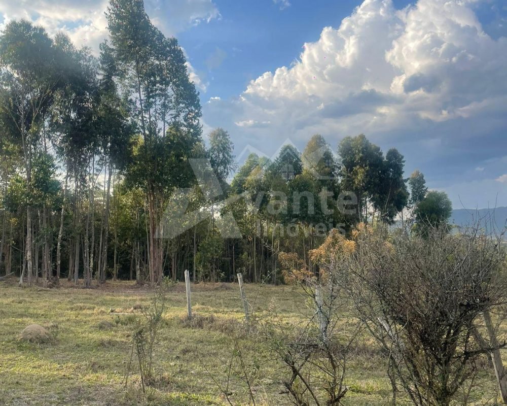 Avante Imóveis ajudando você a realizar o sonho da casa própria