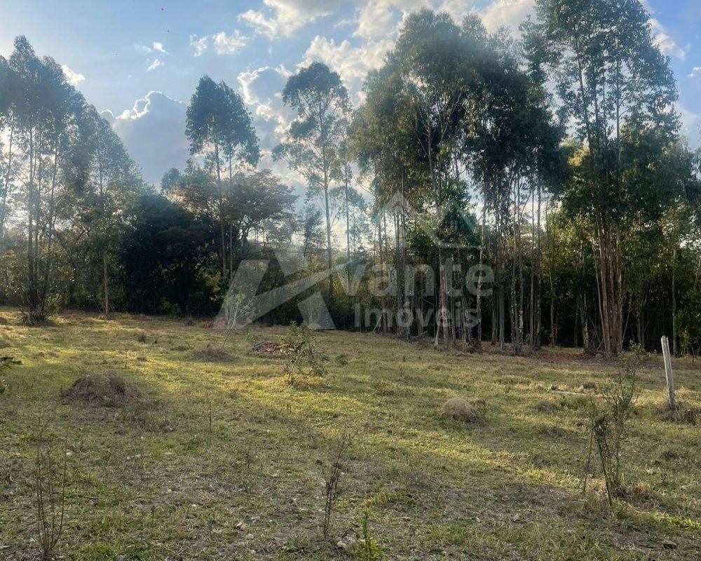 Avante Imóveis ajudando você a realizar o sonho da casa própria