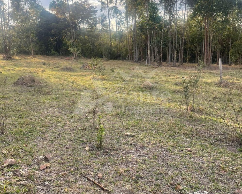 Avante Imóveis ajudando você a realizar o sonho da casa própria