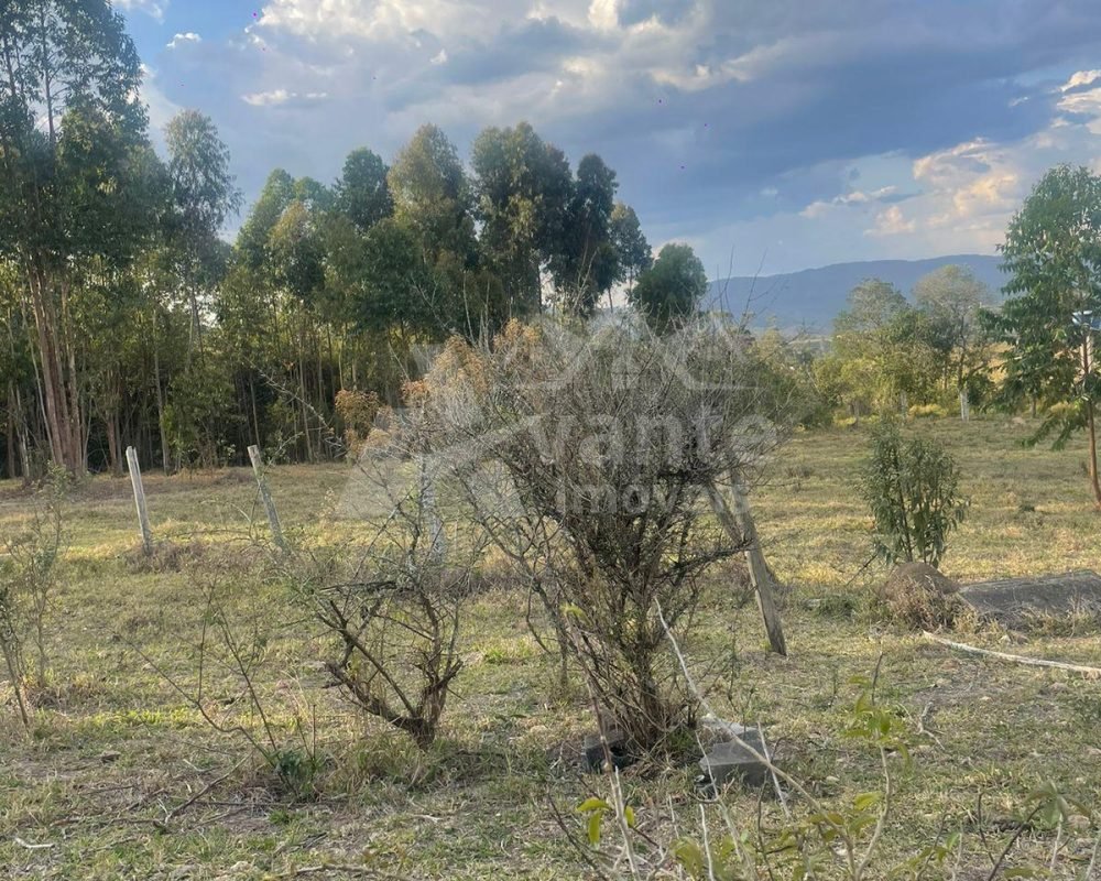 Avante Imóveis ajudando você a realizar o sonho da casa própria