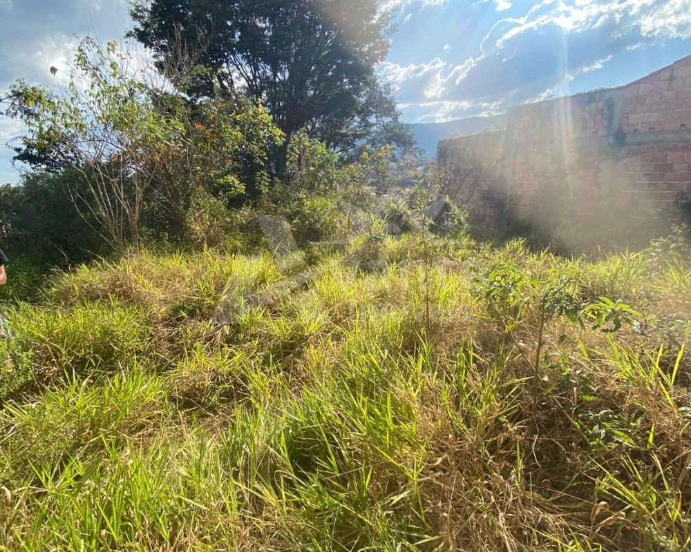 Você tem um sonho e nós temos a chave!