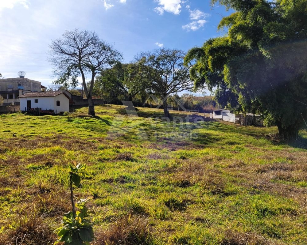Avante Imóveis ajudando você a realizar seu sonho