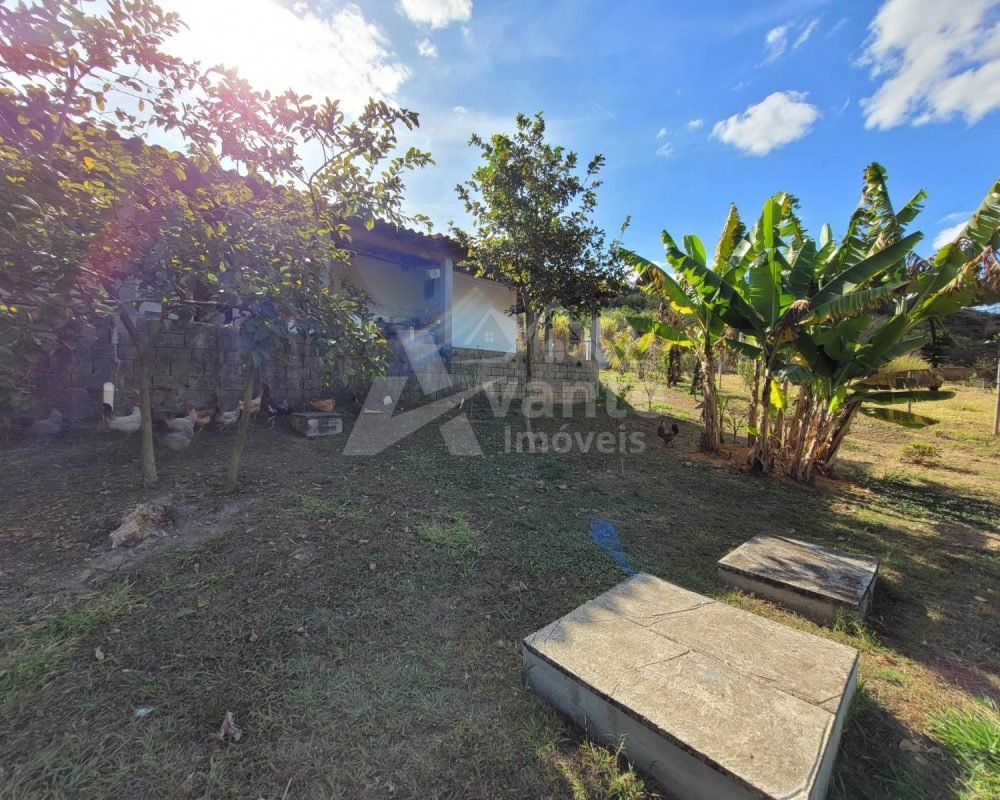 Avante Imóveis ajudando você a realizar seu sonho