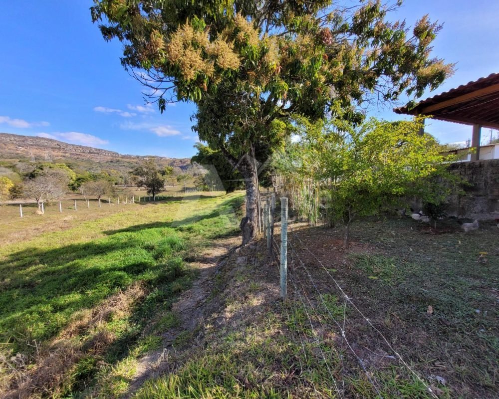 Avante Imóveis ajudando você a realizar seu sonho