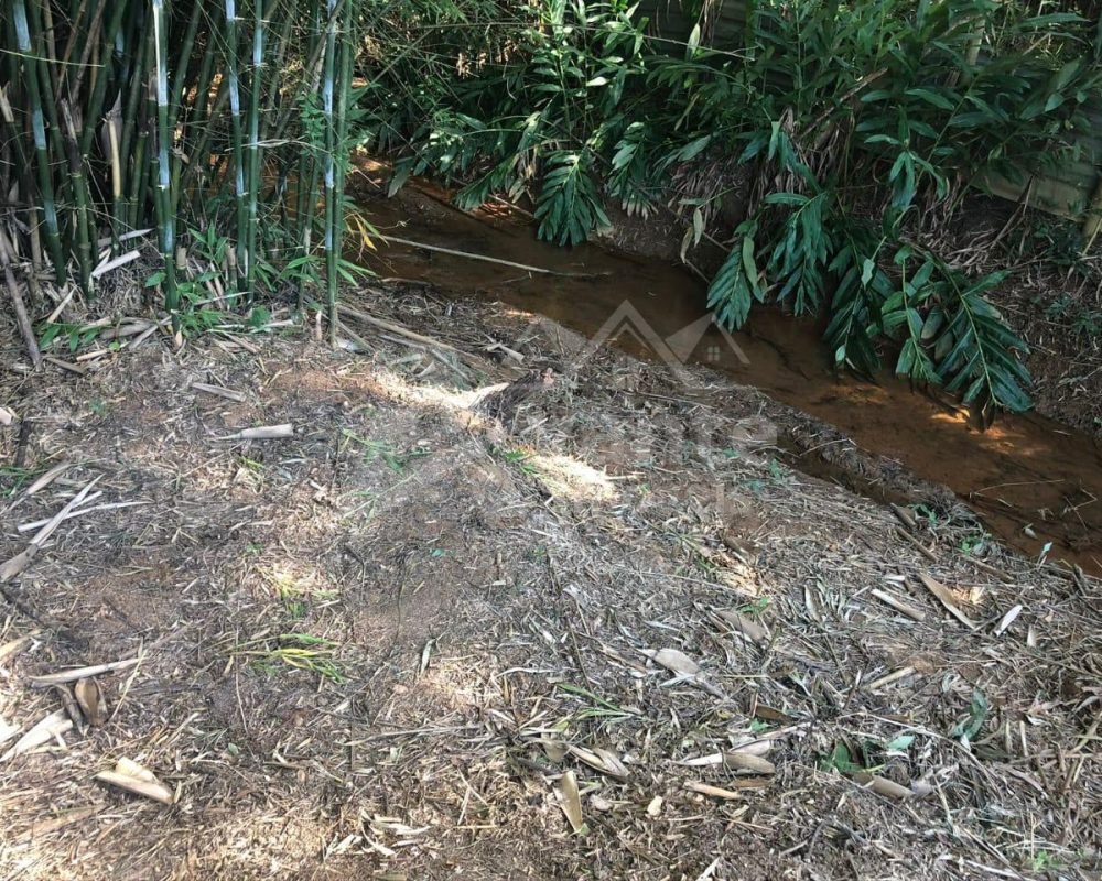 Avante Imóveis ajudando você a realizar seu sonho