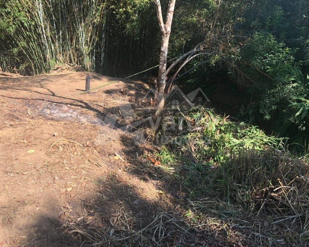 Avante Imóveis ajudando você a realizar seu sonho