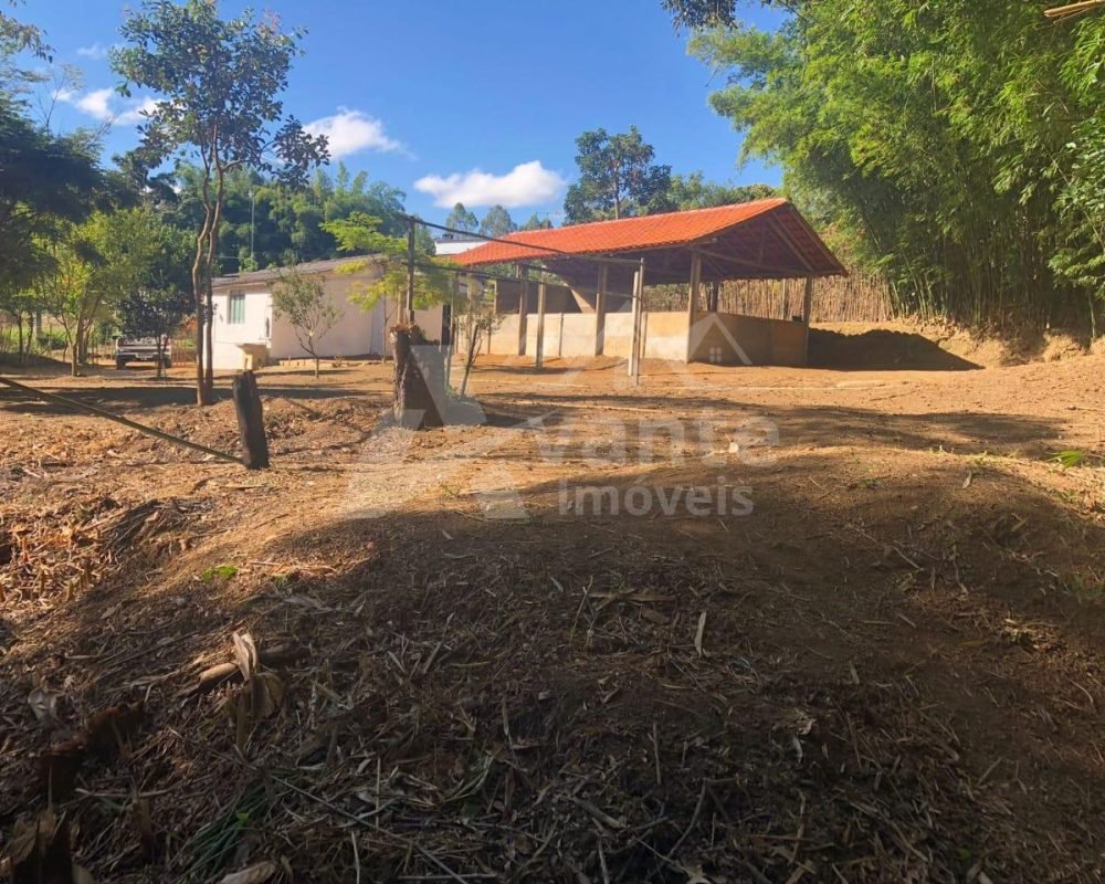 Avante Imóveis ajudando você a realizar seu sonho