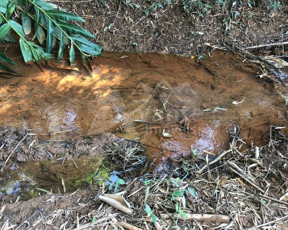 Avante Imóveis ajudando você a realizar seu sonho