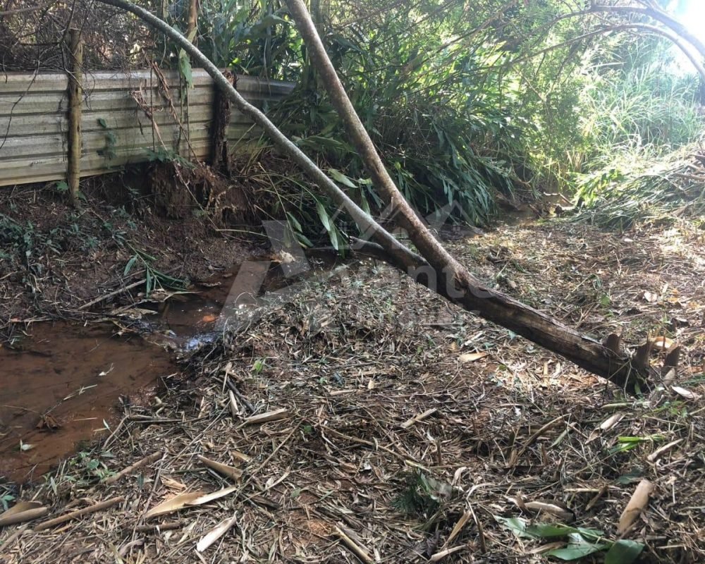 Avante Imóveis ajudando você a realizar seu sonho