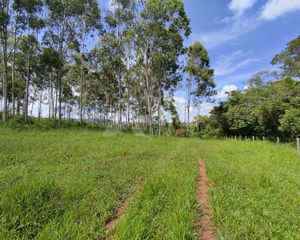 Avante Imóveis ajudando você a realizar seu sonho!