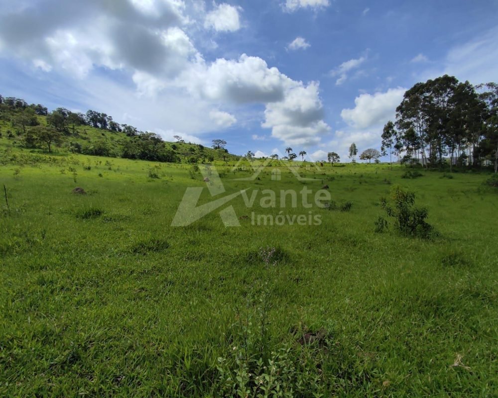 Avante Imóveis ajudando você a realizar seu sonho!